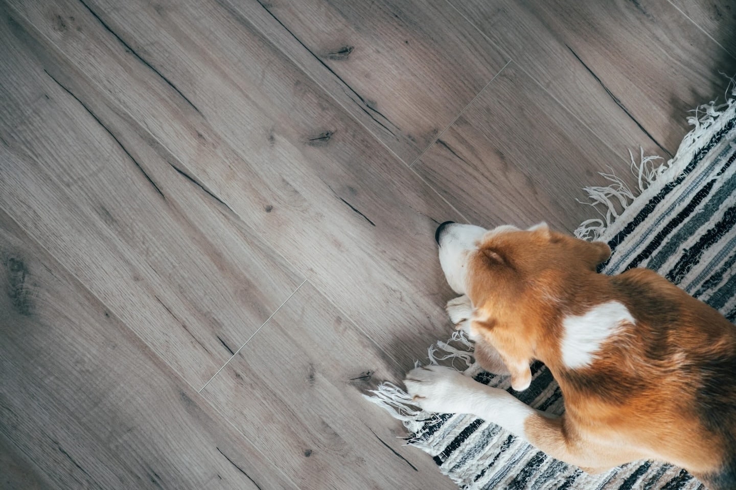 Lamiante Floors in Interior